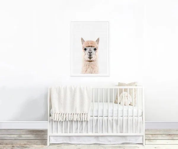 Holly and Jack Children's Emporium photo 1