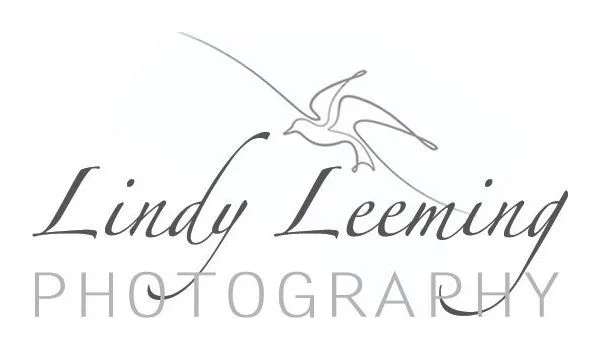 Lindy Leeming Photography logo