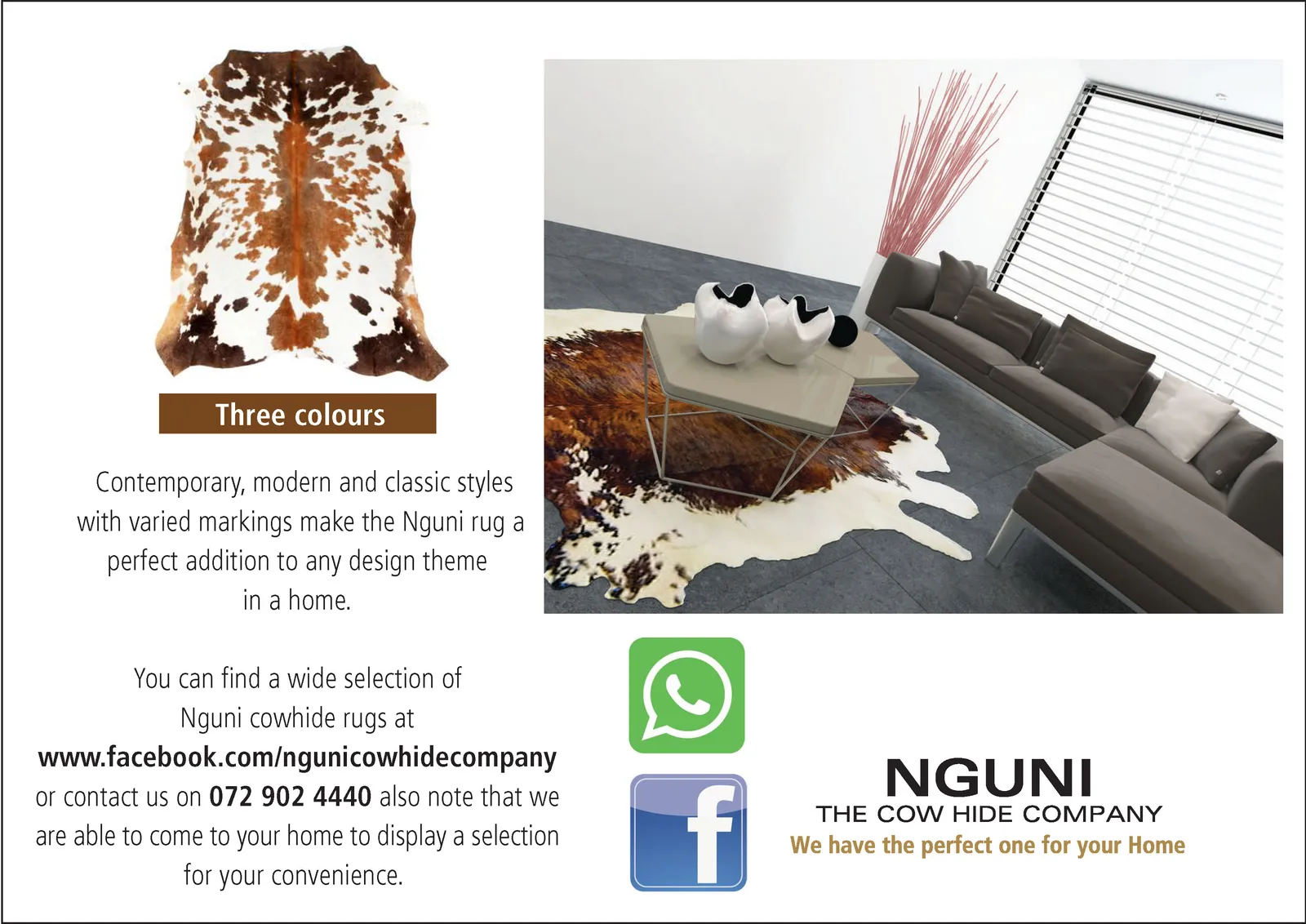 nguni cow hide company photo 1