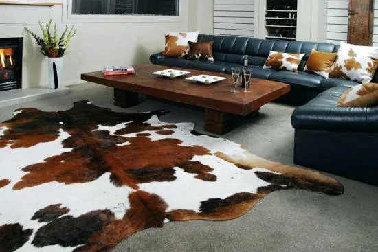 nguni cow hide company photo 3