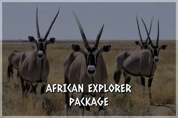 Marulapi Hunting Safaris photo 1