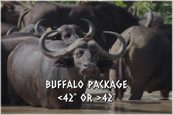 Marulapi Hunting Safaris photo 2