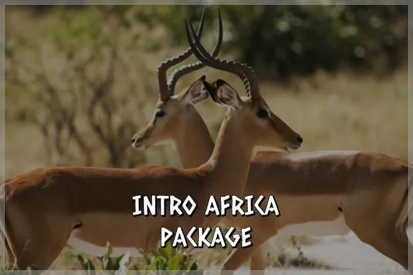Marulapi Hunting Safaris photo 3