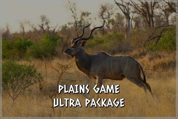 Marulapi Hunting Safaris photo 4