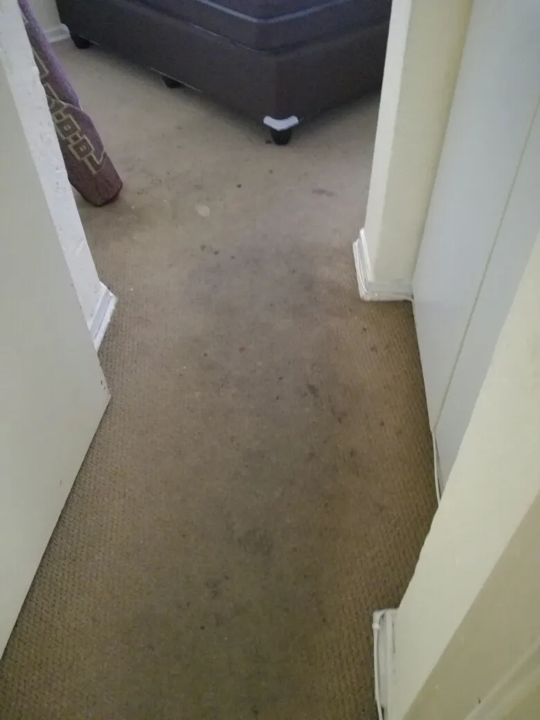 Cleaning Crew Cleaning Solutions photo 1