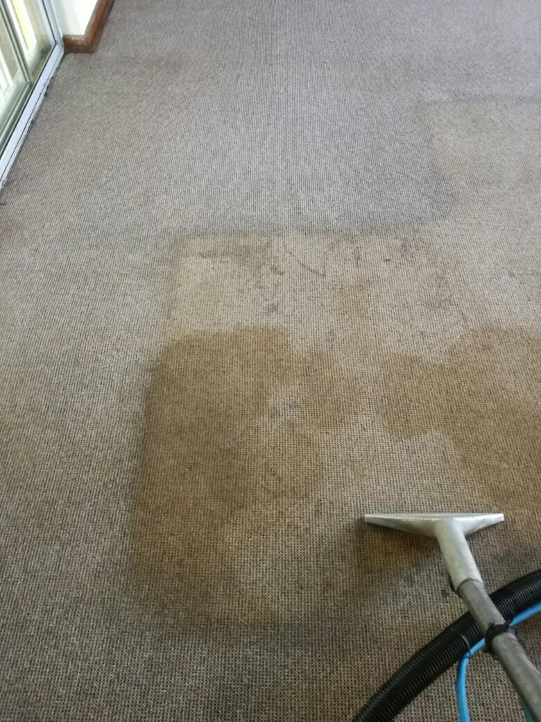 Cleaning Crew Cleaning Solutions photo 4