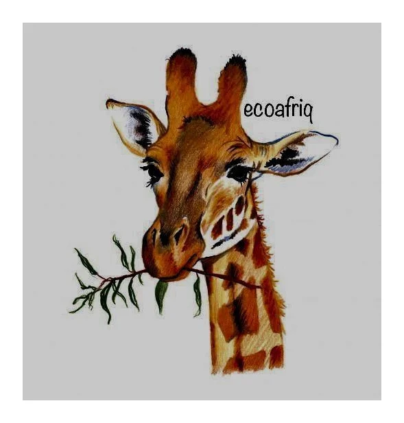 ecoafriq.com logo