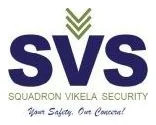 Squadron Vikela Security Services logo