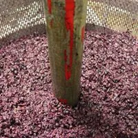 Mitre's Edge Wine Estate photo 4