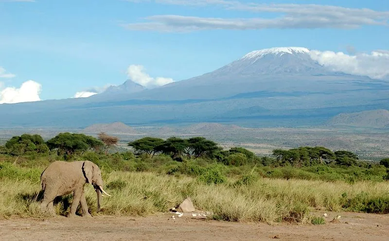 Foot Slopes Tours & Safaris photo 3