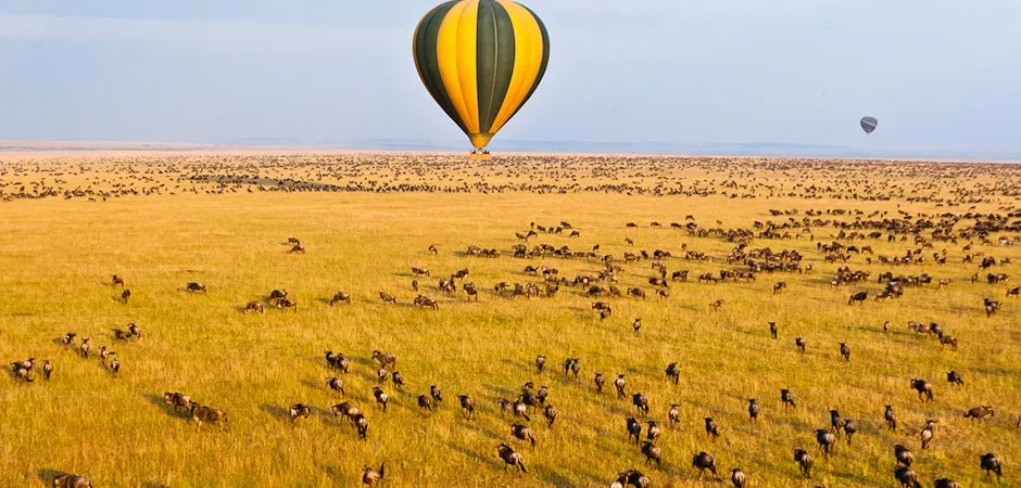 Foot Slopes Tours & Safaris photo 4