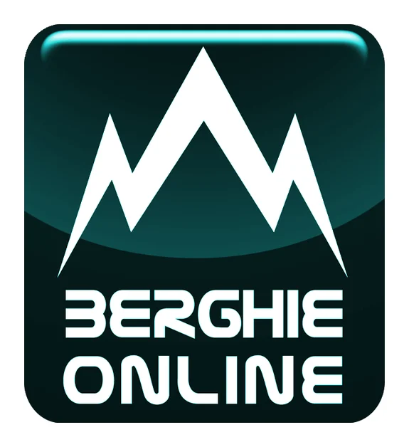 Berghie Online Computers Cape Town - The Best logo
