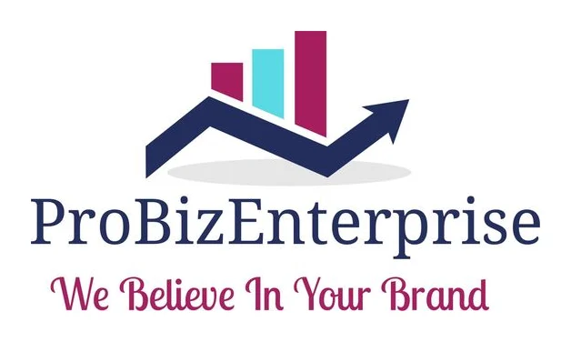 ProBizEnterprise (pty) ltd logo