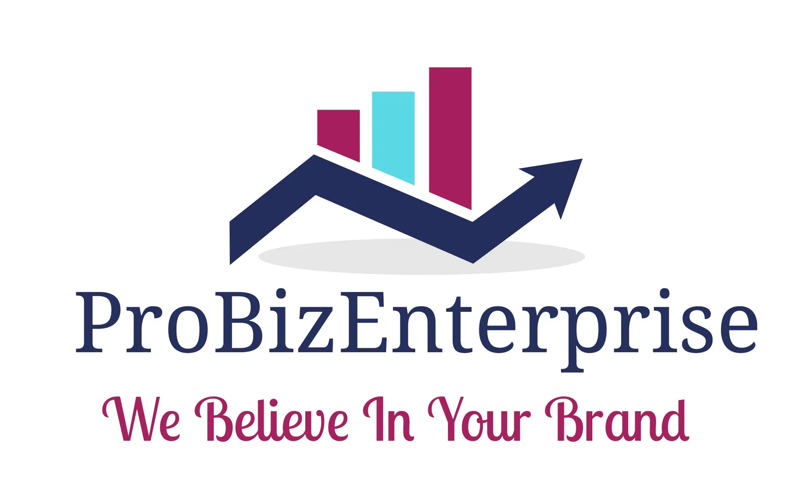 ProBizEnterprise (pty) ltd photo 1