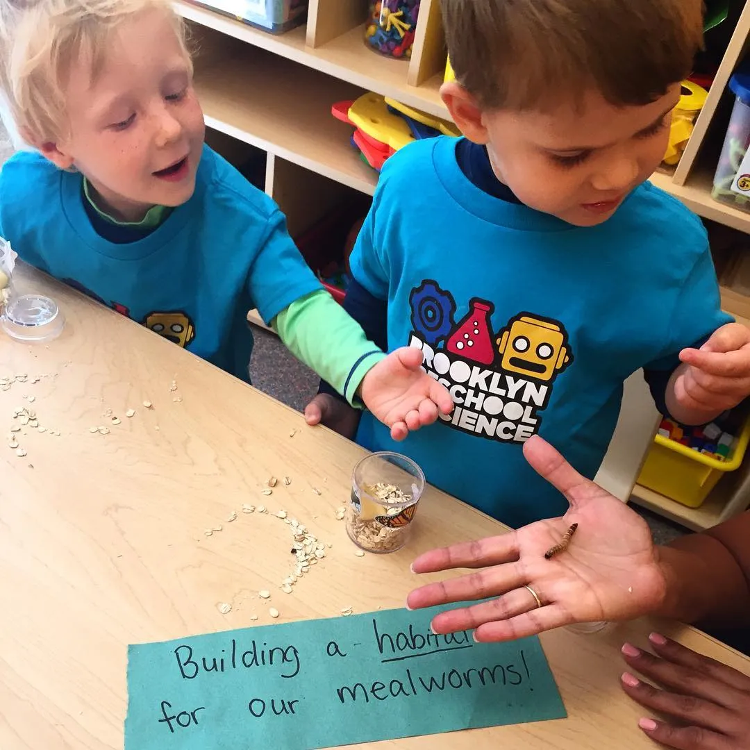 Brooklyn Preschool of Science photo 2