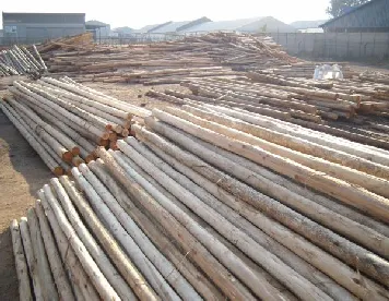 Bulk Timber Sales photo 3