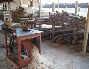 Bulk Timber Sales photo 4