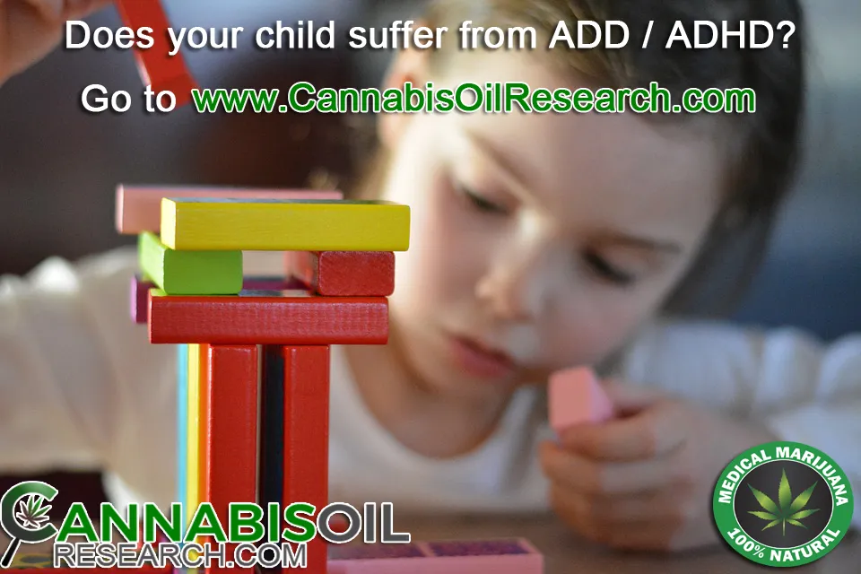 Heal Your Life with Cannabis photo 1