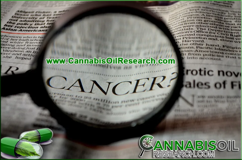 Heal Your Life with Cannabis photo 4