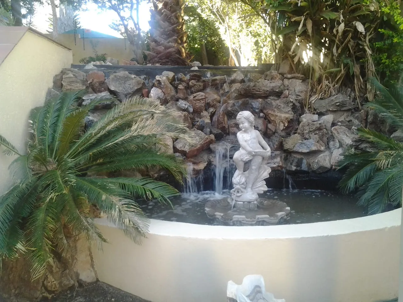 Koi Fish Ponds and Pools photo 3