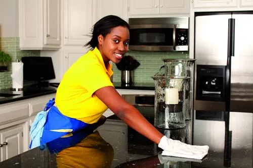 Royal Domestic Maids photo 3
