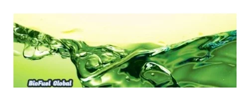 Bio Fuel Global logo