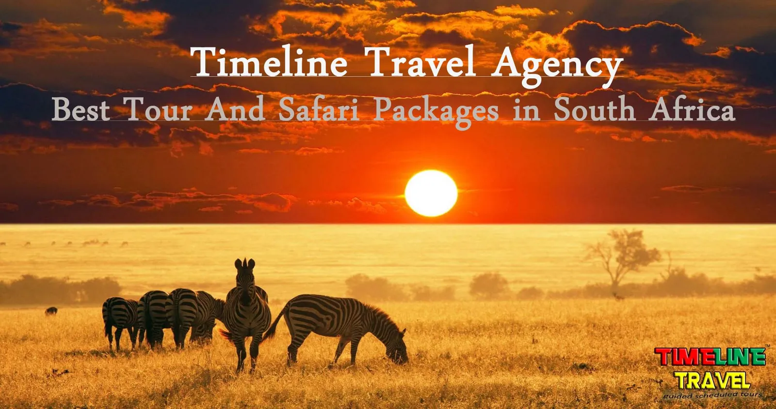 Timeline Travel Agency photo 1