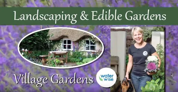 Village Gardens photo 1