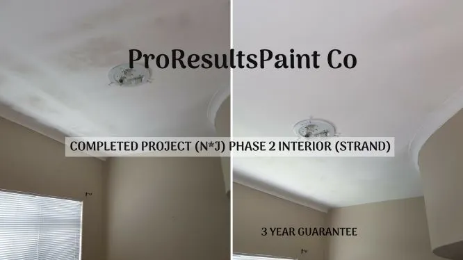Proresultspaint photo 3