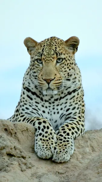Southern Circle Tours and Safaris photo 4