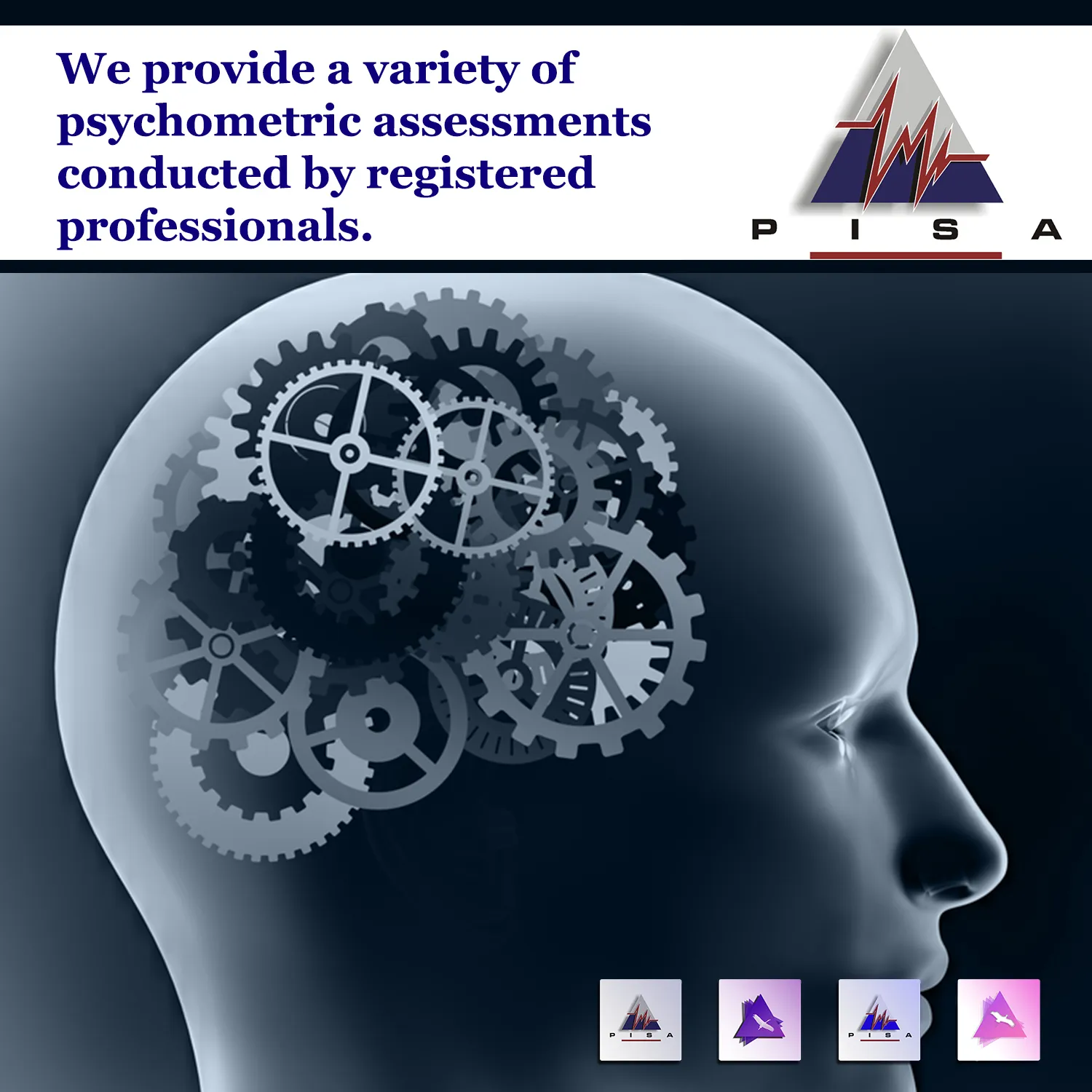 PISA Integrity Assessment Centre photo 4