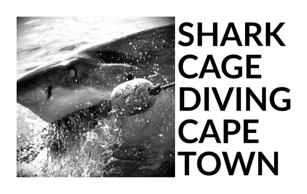 Shark Cage Diving Cape Town logo