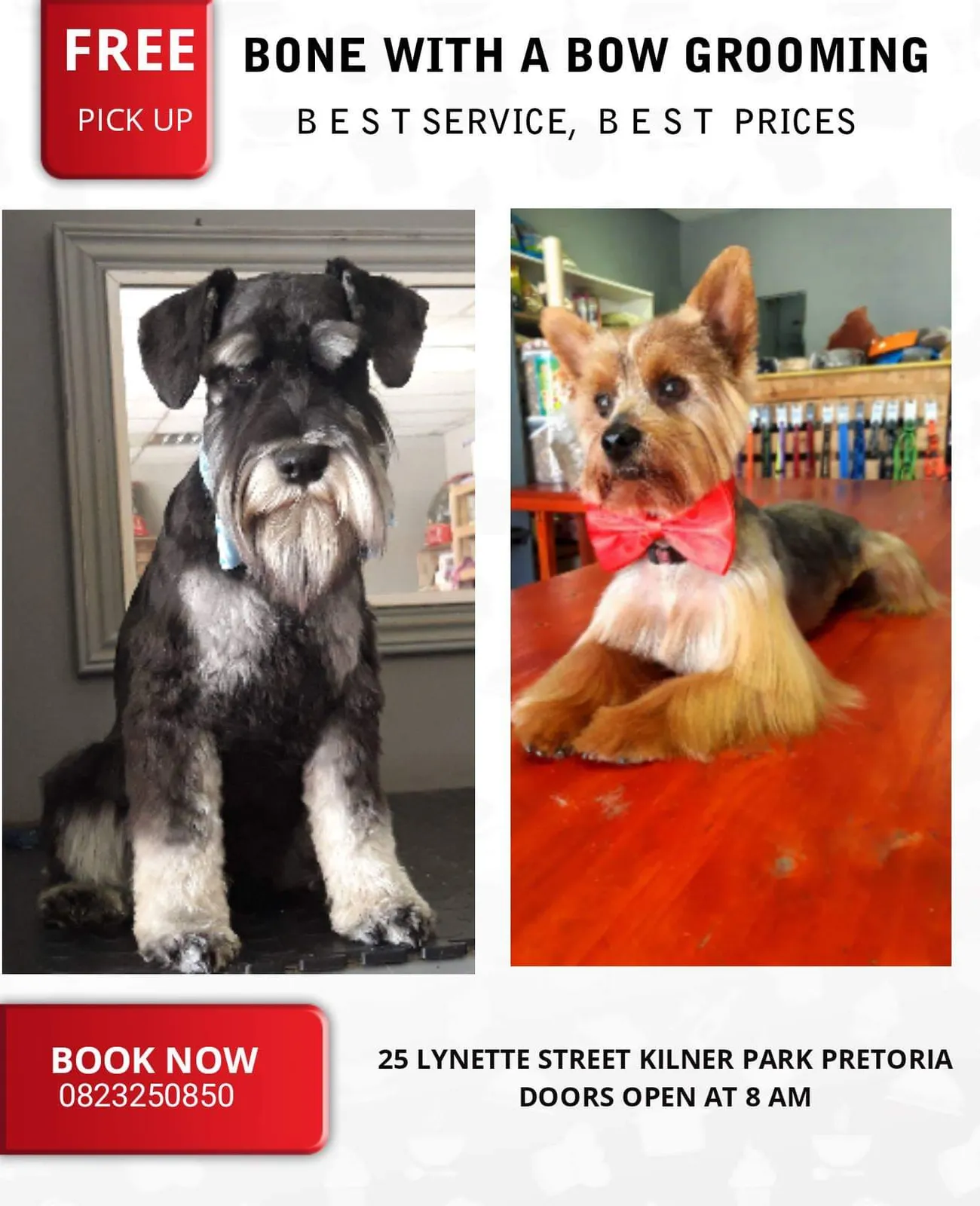 Bone with a bow dog grooming parlour photo 1