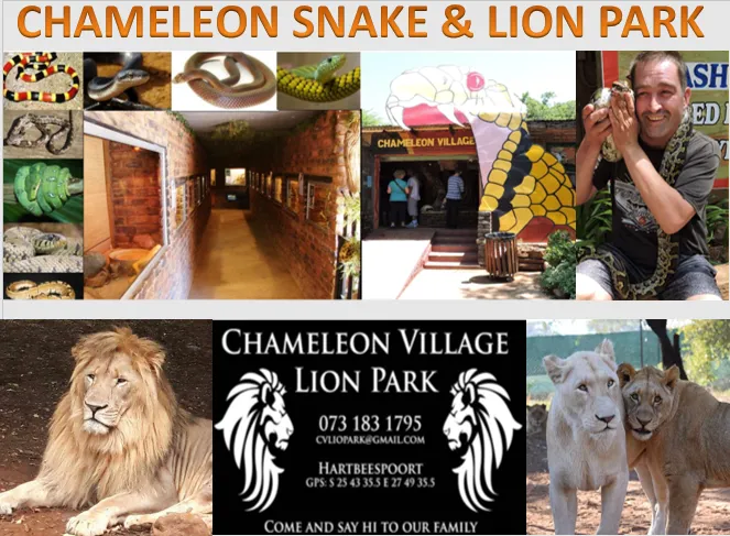 Chameleon Village African market photo 4