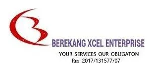 Berekang Xcel Enterprise (Pty) Ltd logo