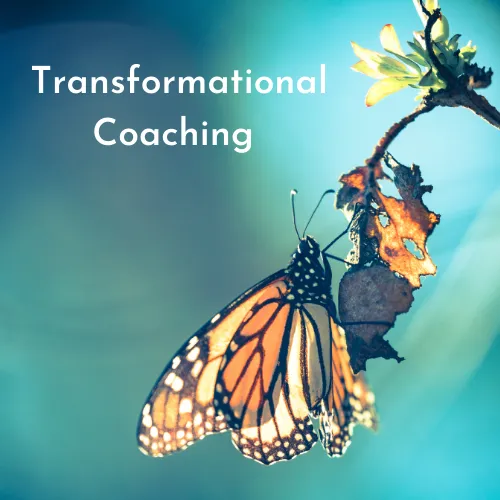 Dr Lilian Cabiron-The Mindfulness Coach photo 2