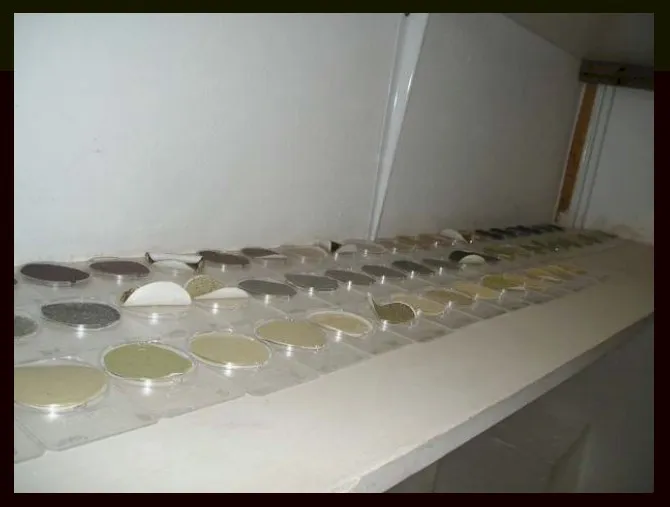 DustWatch CC photo 2