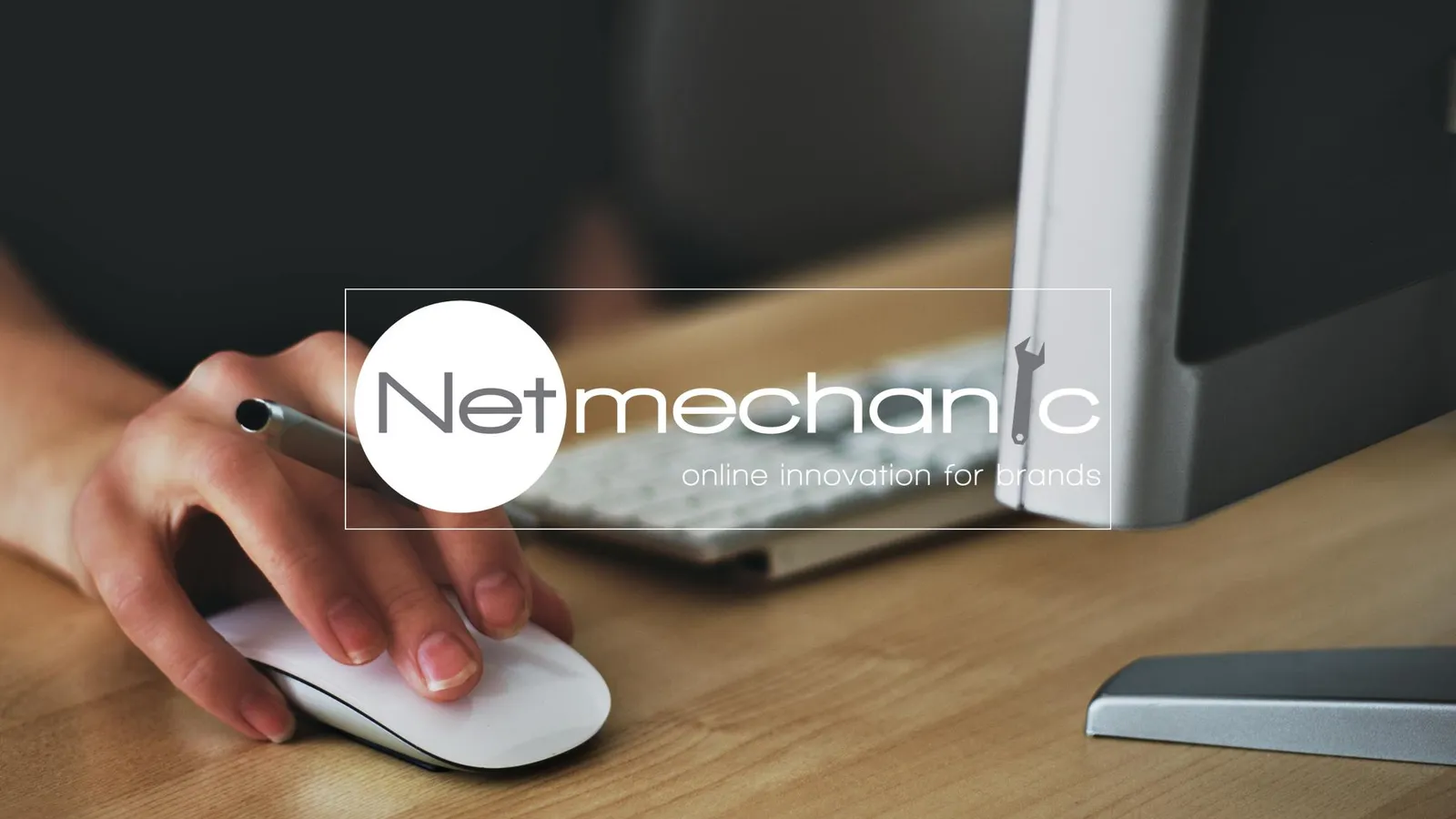 NetMechanic photo 1