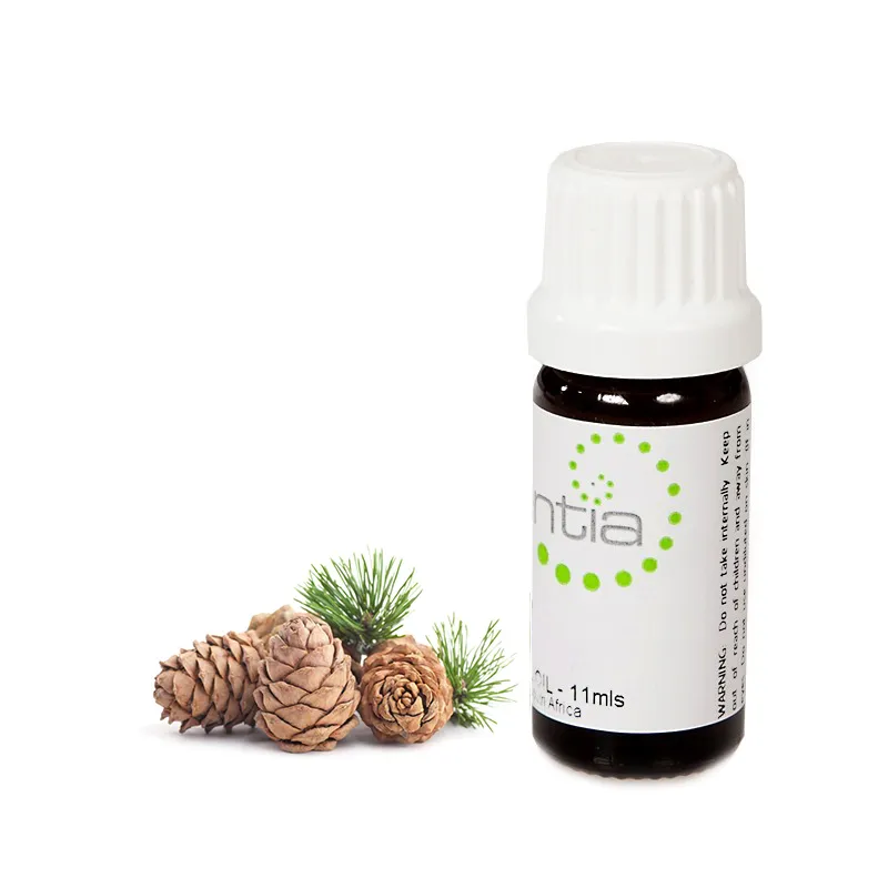 SA Essential Oils (Online Shop) photo 1