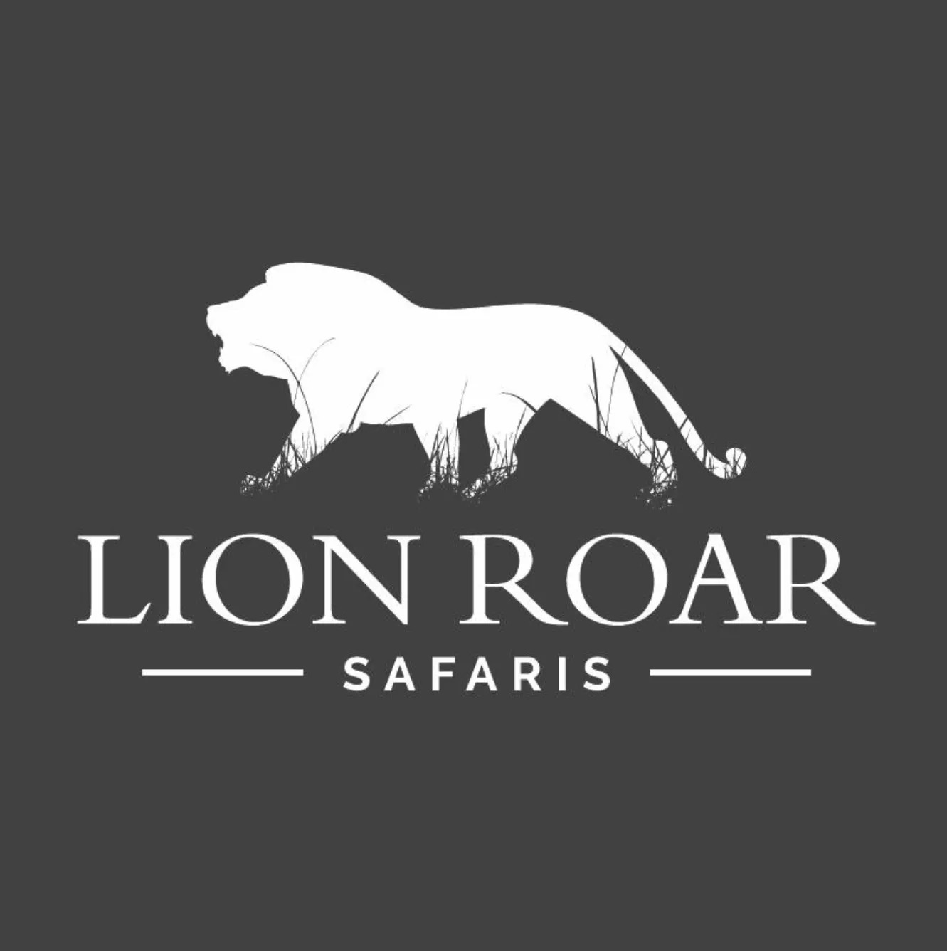 Lion Roar Safaris Kruger National Park photo 1
