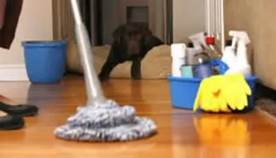All Maids - Cleaning Services photo 3