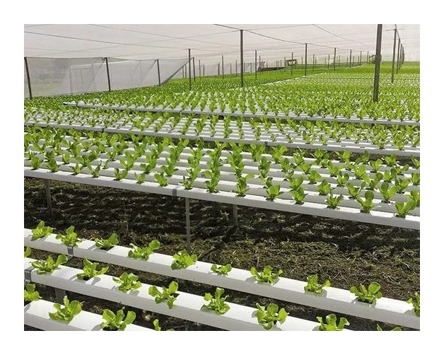 Wilsac Agrizone 0738088293 logo