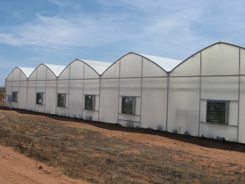 Wilsac Agrizone 0738088293 photo 4