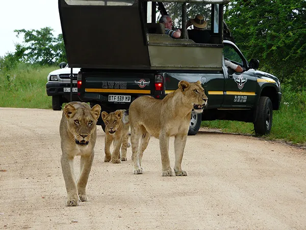 Vula Tours photo 3