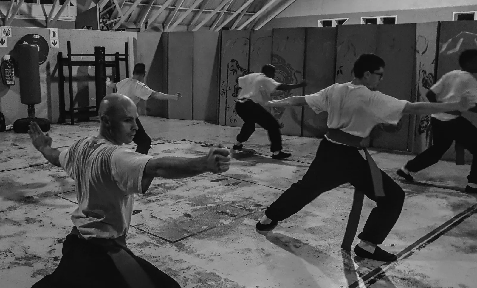 Songshan Kung Fu Executive Academy - Edenvale photo 1