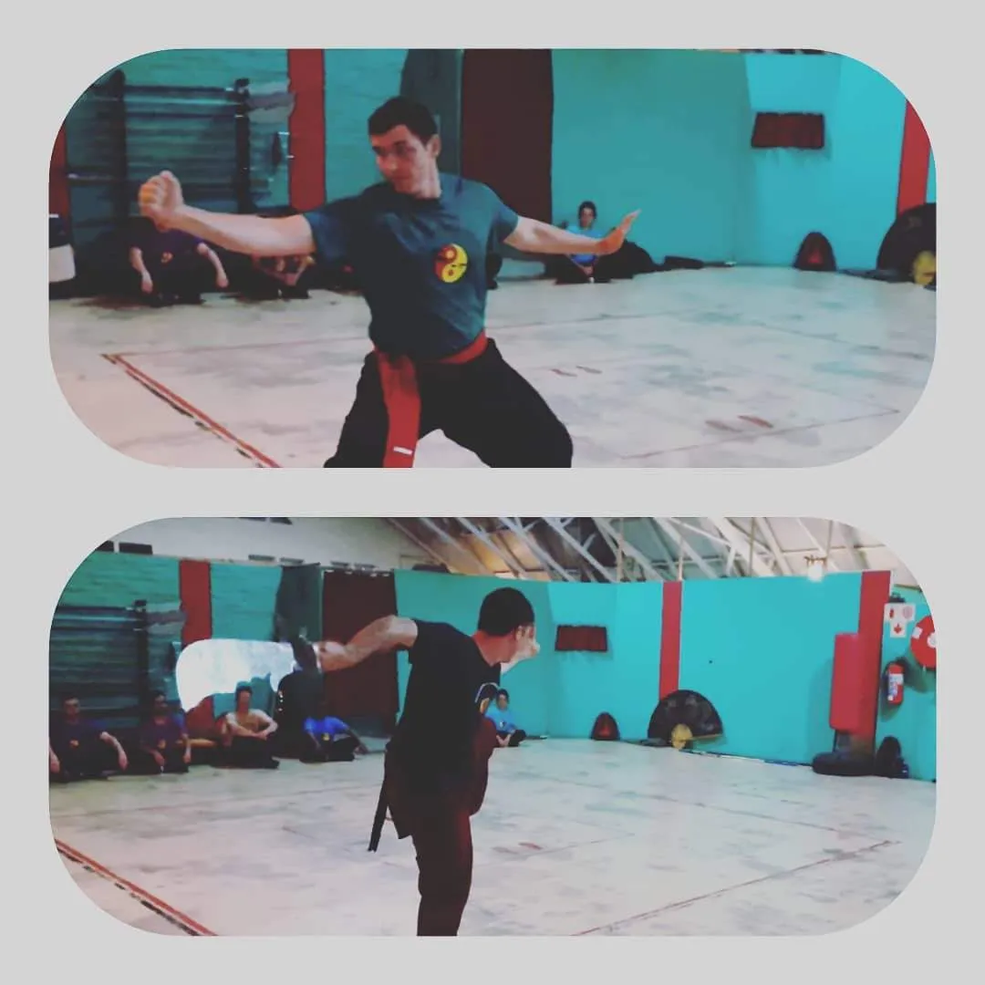 Songshan Kung Fu Executive Academy - Edenvale photo 2