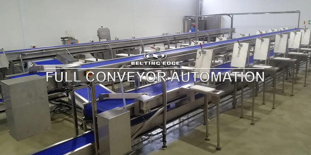Belting Edge Conveyor Belting Suppliers photo 3
