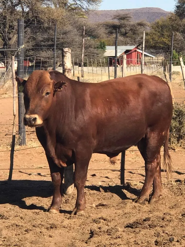 First Choice Farmers (Pty) Ltd photo 2