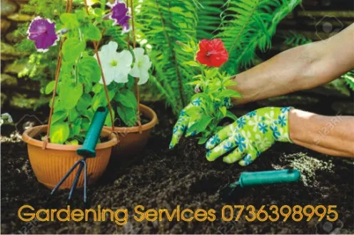 Gardening Company SA photo 3