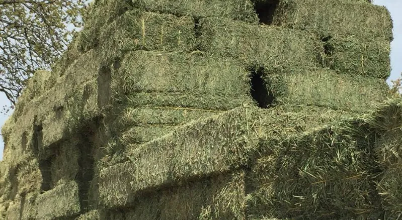 Hill Top Farmers Pty Ltd photo 3